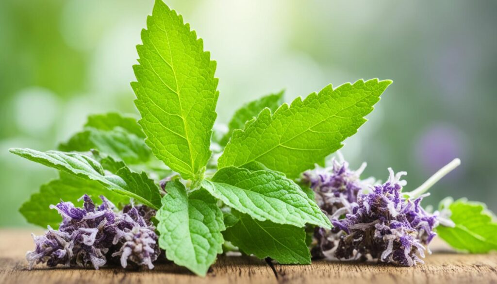 patchouli essential oil for anxiety