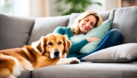 Narcolepsy Service Dogs: Companionship and Support